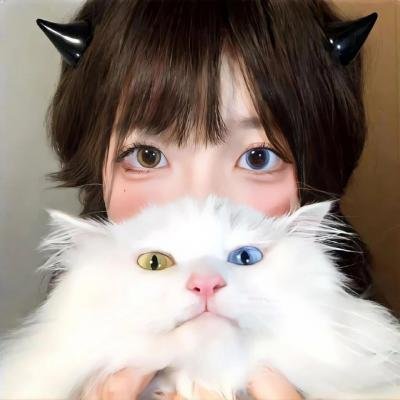 老虎和兔子第二季