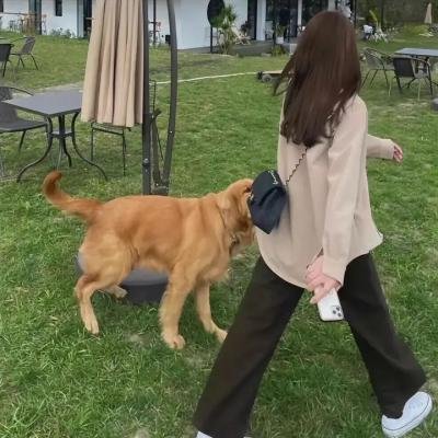 我的抗战之猎豹突击
